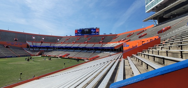 阿森纳2-0布伦特福德 梅里诺、萨卡建功