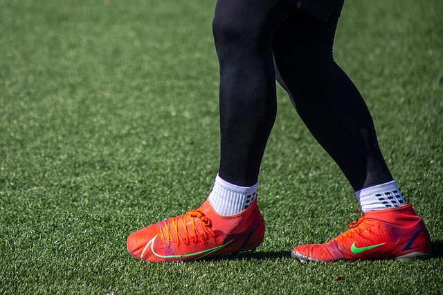 已尘埃落定 已尘埃落定