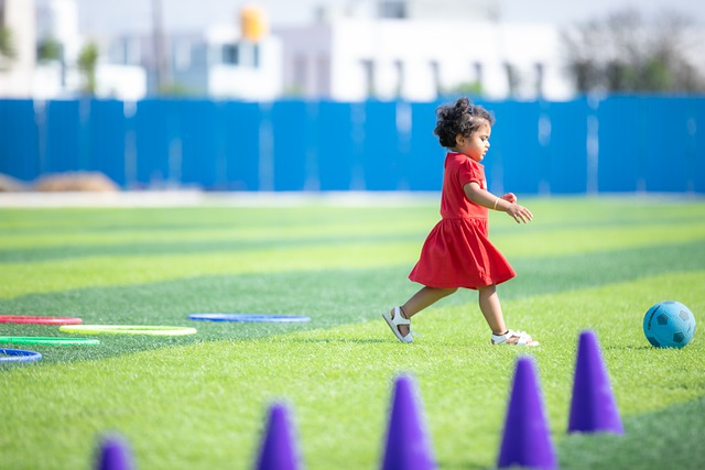 他们赢得了 他们赢得了