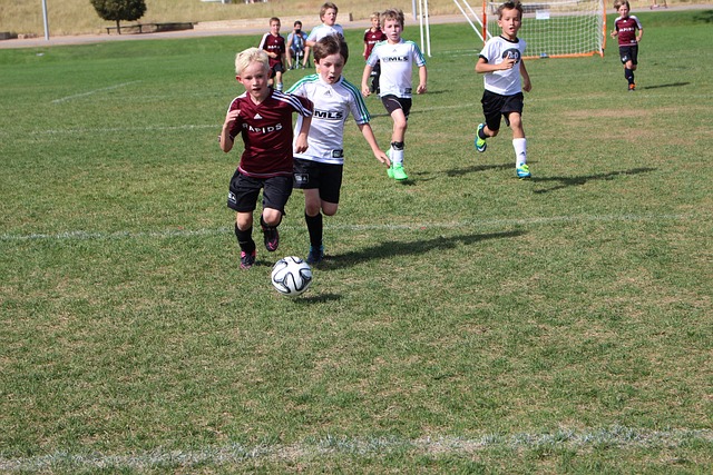 作为球迷 作为球迷