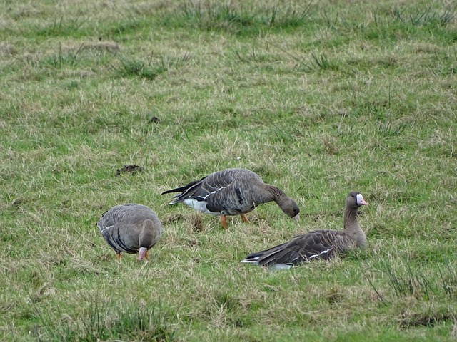 的公平与秩 的公平与秩