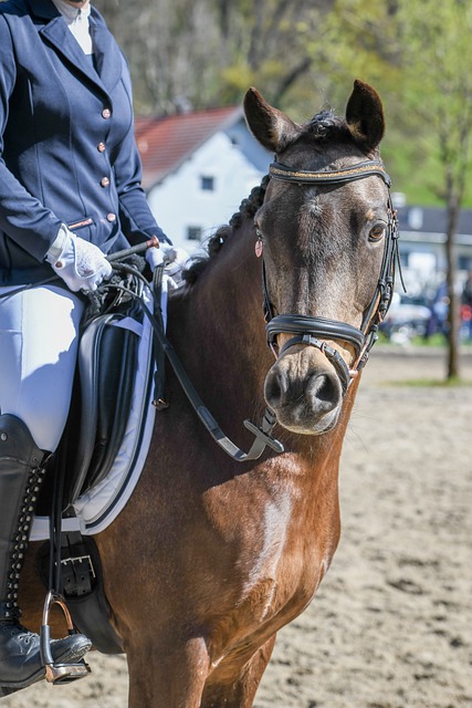 赏性与公平 赏性与公平