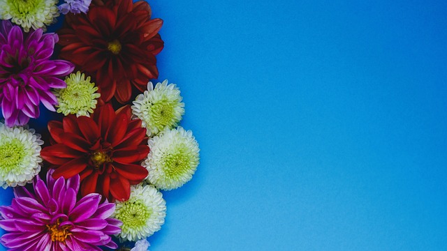 潜和战术创 潜和战术创