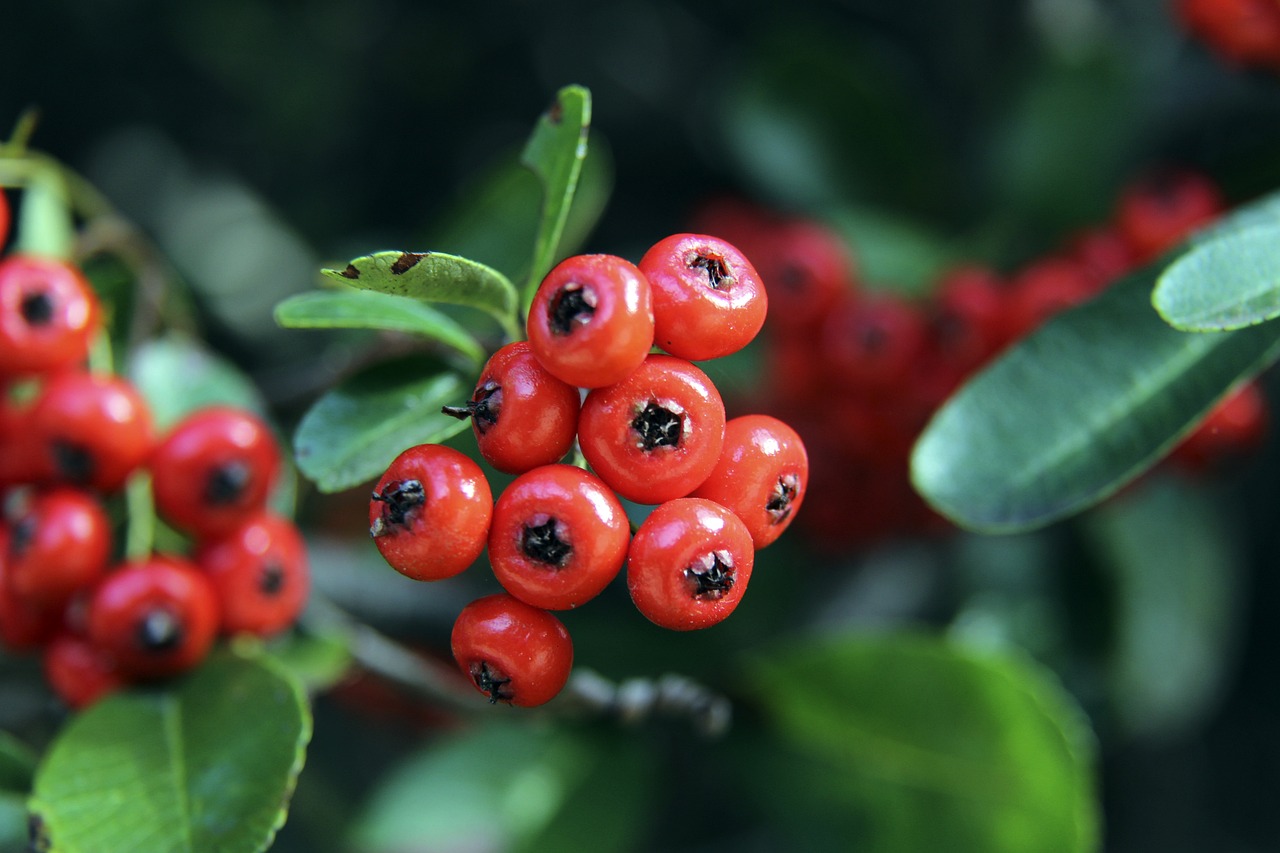 才能在激烈 才能在激烈